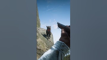 p818 Simulate great survival skills , #shorts