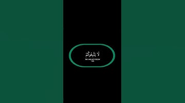 #قرآن #quran من #سورة_الأعراف بصوت القارئ #ياسر_الدوسري #تلاوات مؤثرة 💚