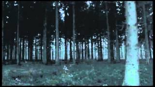 Bones - Embedded