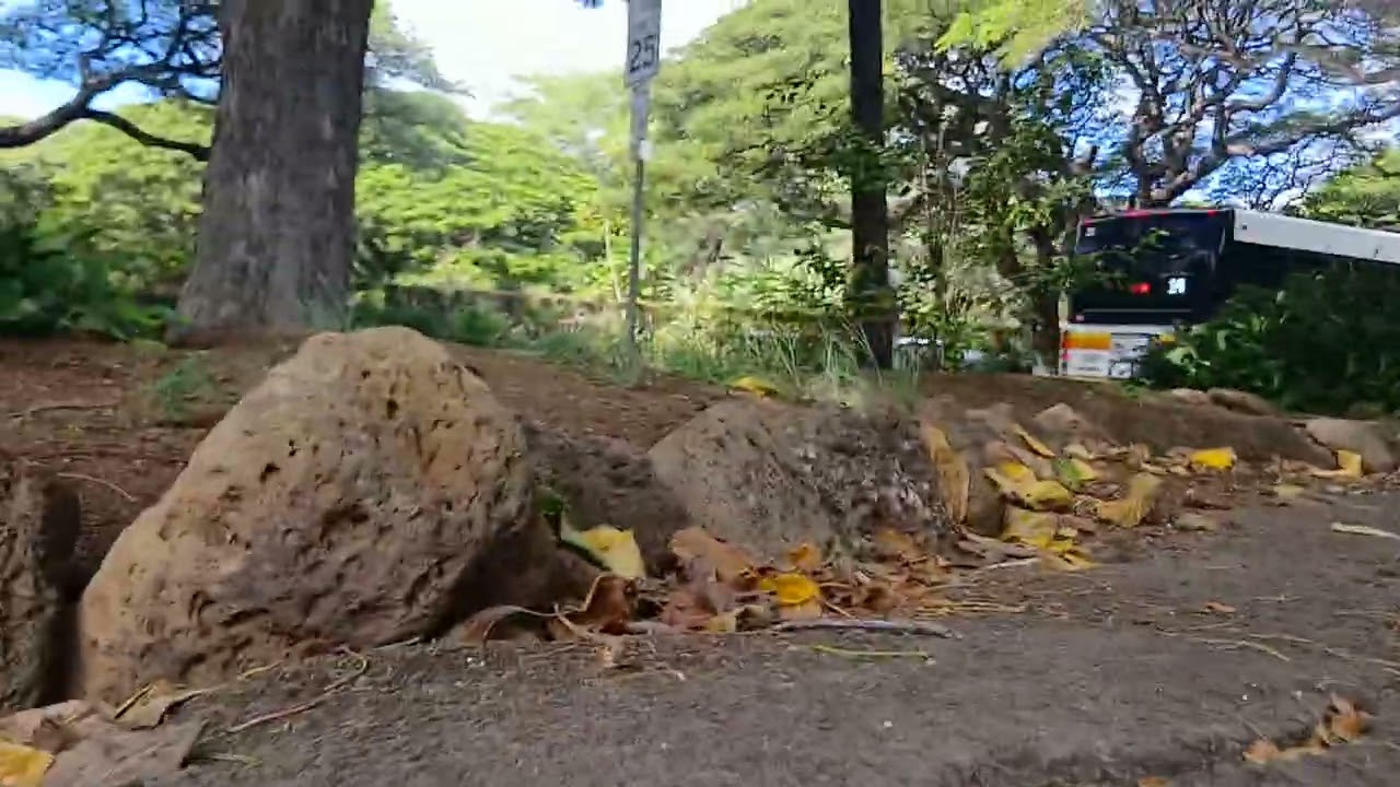 Queens garden. oahu hawaii. granite drive