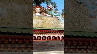 I am Bhutan 👈 #mittidetibbe #song #trending #viralvideo #music #kaka #newsong #punjabi #love #duet