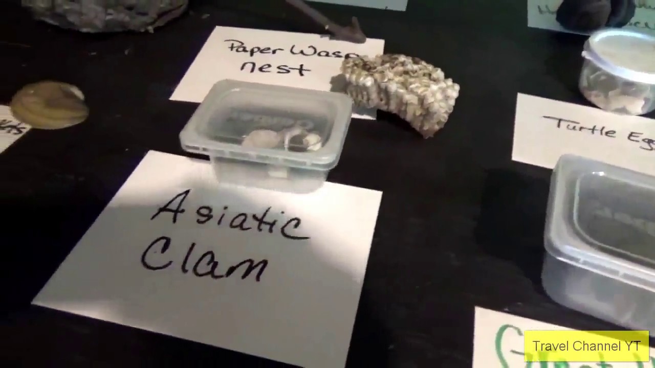 Palmyra Cove Nature Park, NJ and PA