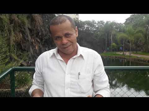 25 de novembro de 2018 25 de novembro de 2018