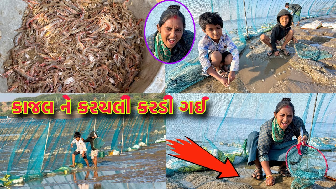 કાજલ પાછળ થી વીડીયો ઉતારતી ઉતારતી આવી 📽 samundar fishing 🎣 dariyai khedut@desirasoikathiyawadi 