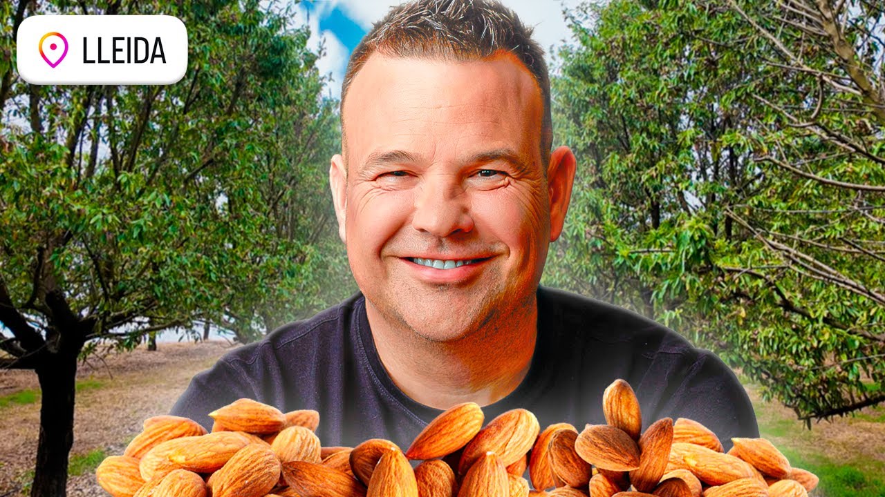Así Se Hacen 6.000.000€ en Almendras (Producción y Recogida)