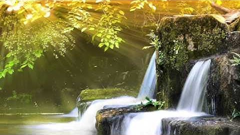 القارئ سعيد باعامر فجرية ٤ ذو الحجة ١٤٣٦هـ