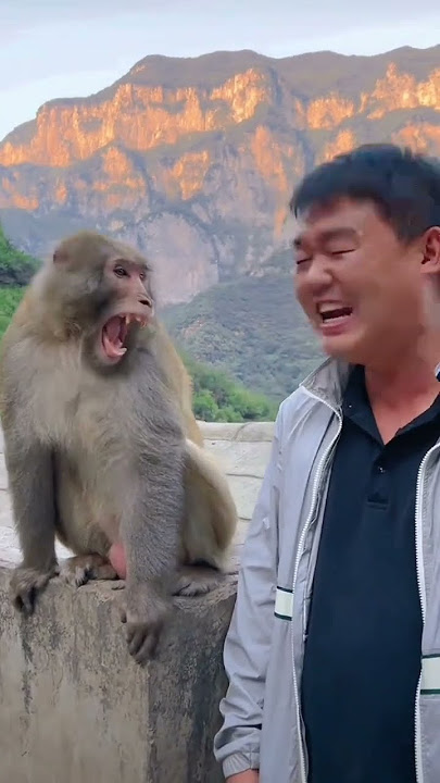 Monkey brother laughed so happily that he became a spirit