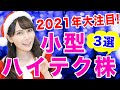 【期待大】2021年大注目の小型ハイテク銘柄3選【米国株】