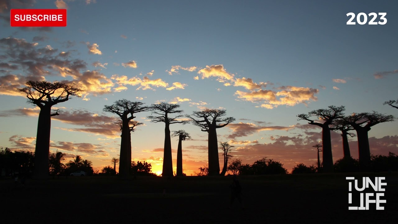 Afro Latino Deep House 2023| Melodic House