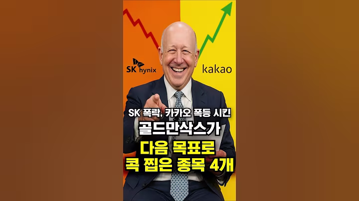 SK 폭락, 카카오 폭등 시킨 골드만삭스가 다음 목표로 콕 찝은 종목 4개