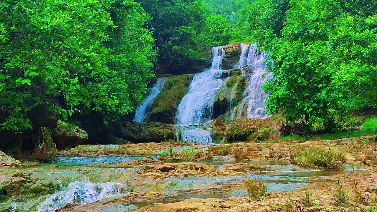 Relaxing Music For Stress Relief, Anxiety and Depressive States🌿 Heal Mind, Sleep Music 1