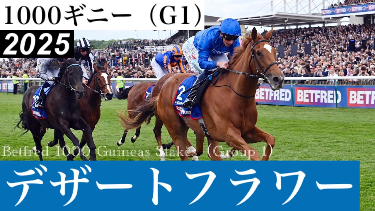【全世界　5000個限定 】ON THE TURN 馬　競馬の騎手　イギリス maxresdefault.jpg