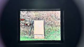 How to zero a Rix T20 Day/Night scope