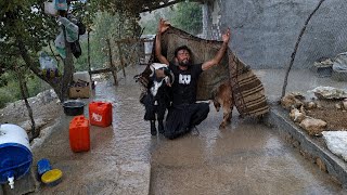 Deadly lightning strikes; Ali's battle to save his goat kids in summer floods