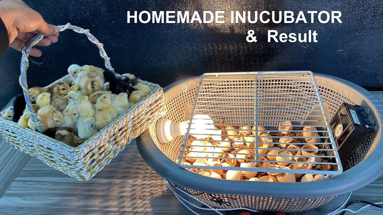 How to Make Incubator At Home // DIY Homemade Incubator // YouTube