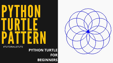 Simple Circle Pattern in Python Turtle | Python turtle graphics tutorial