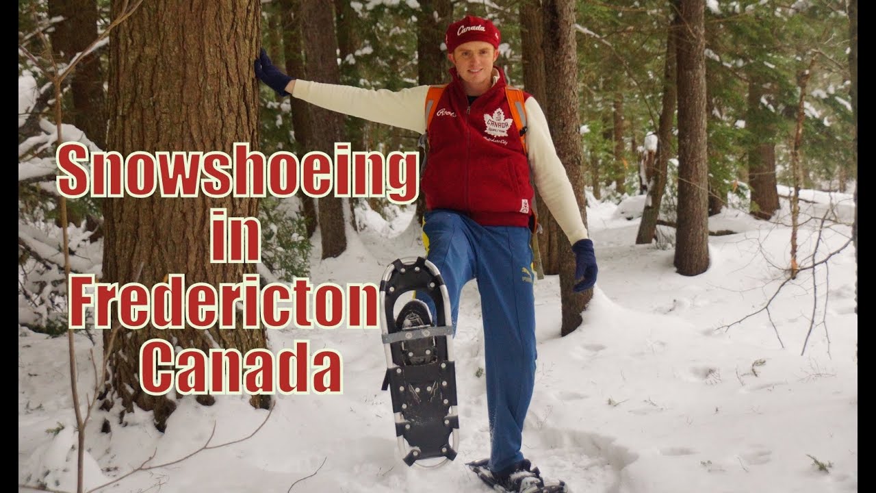 Snowshoeing in Fredericton, Canada on a nice winter day in O'dell Park