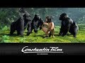 Tarzan 3d  official trailer