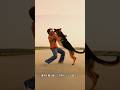 飼い主を待っている忠実な犬#shorts #foryou #fyp #映画 #movie