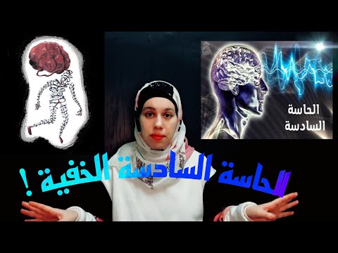 إزاي بتعرف مكان ايدك ورجلك في الضلمة 