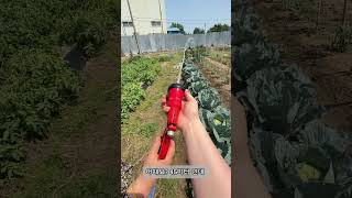 일반호스VS고압호스 전동분무기 #농천하분무기 #농천하600p #농약분무기 #전동분무기 #농천하 #틱톡핫템 #틱톡핫템#귀농