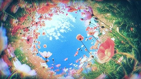 Svn4vr - flesh [prod Dexter yu]