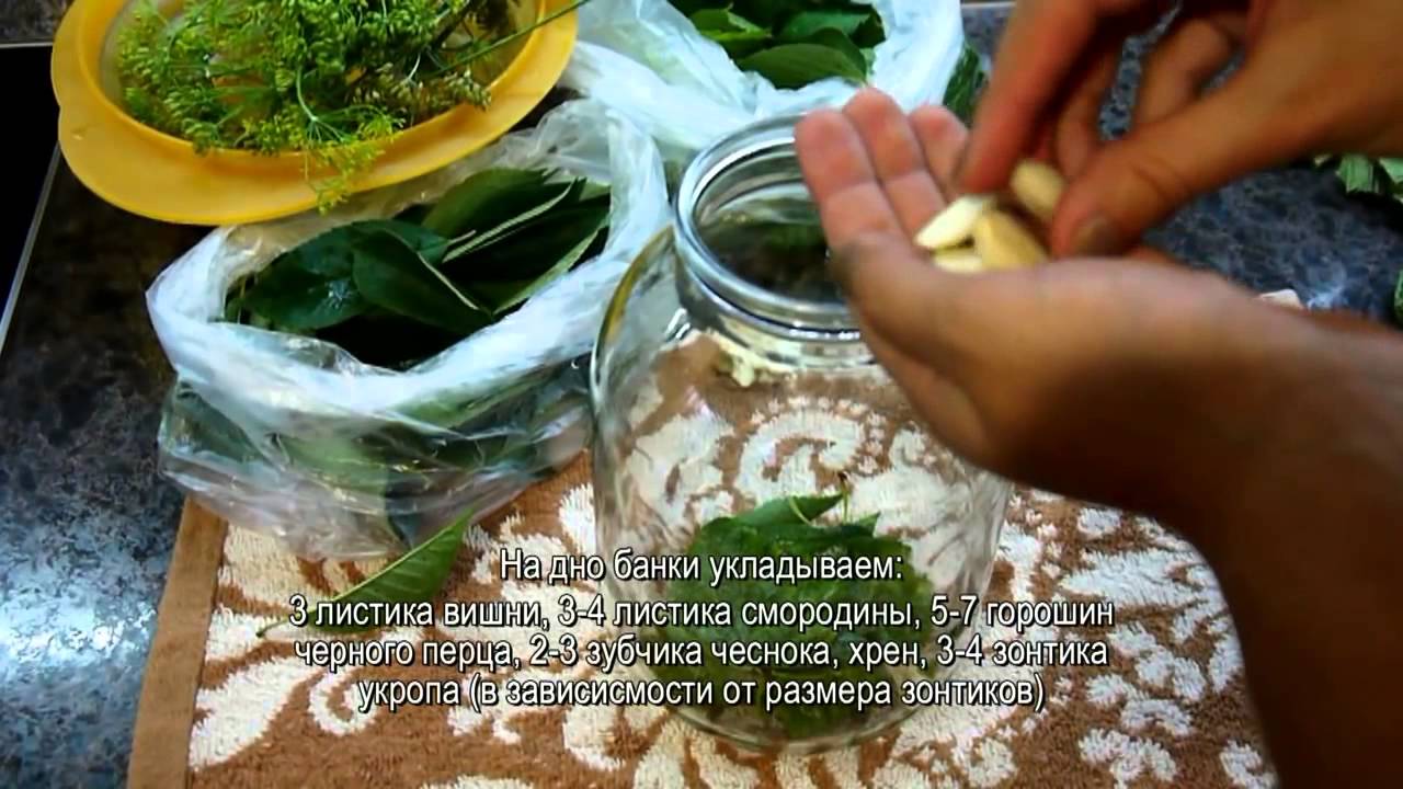 Консервированные огурцы. Быстрый и вкусный рецепт. КК.mp4