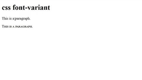 Css font-variant lesson:14(part-8)