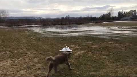 RC Powers Hydro Jet Maiden Flight