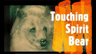 Touching Spirit Bear: Chapter 20