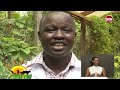 Mkulima Utafiti Wa Miti Kwa Faida Ya Dawa Mkulima Utafiti Wa Miti Kwa Faida Ya Dawa
