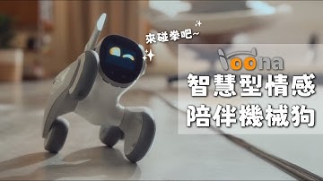 Loona：AI智慧陪伴機械狗