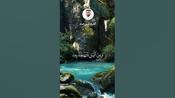 #فارس_عباد  الآيات 78-79 من سورة الإسراء