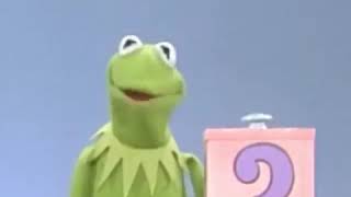 What Is In Kermits Box Cookie Monster?