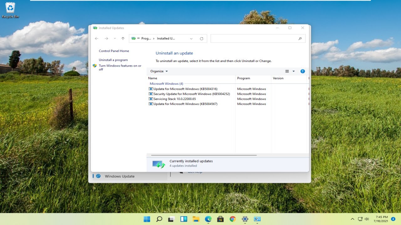How To Fix Clr Error 80004005 The Program Will Now Terminate In
