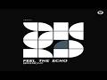 Branchy - Feel The Echo (Original Mix)