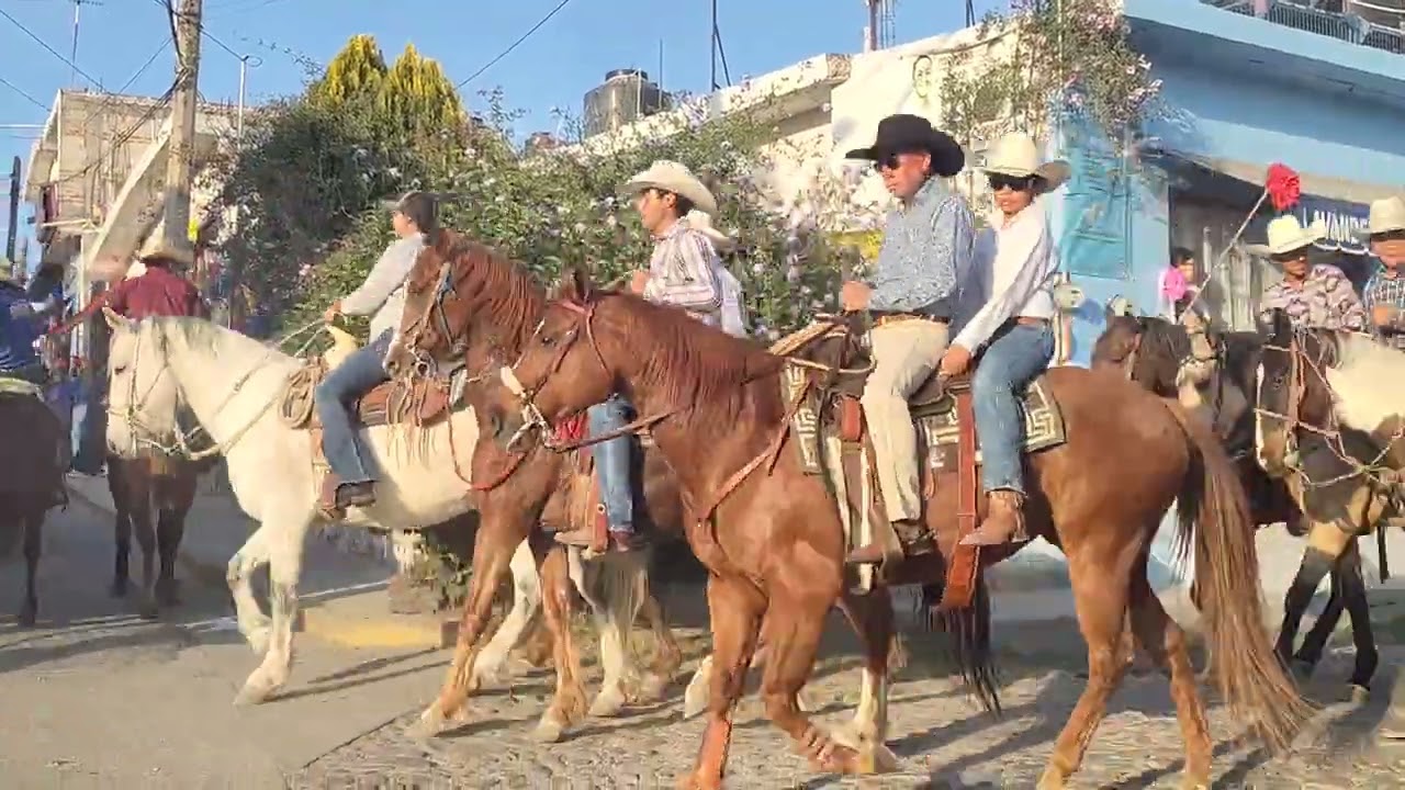Feria paso de mata 2026