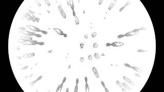 Added FOG, Zoom and Refraction