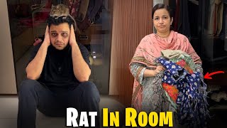 Kamre Mein Chuwa Agaya Puri Raat Nahi Soya Dar Kar Chuwa Ne Momina Ke Kapre Kha Liye