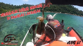 LAWATAN KE LADANG SOTONG MABANG!!!|#vlog57 |IB FISHING VLOG