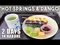 What to Do in Japan | Hakone Tour