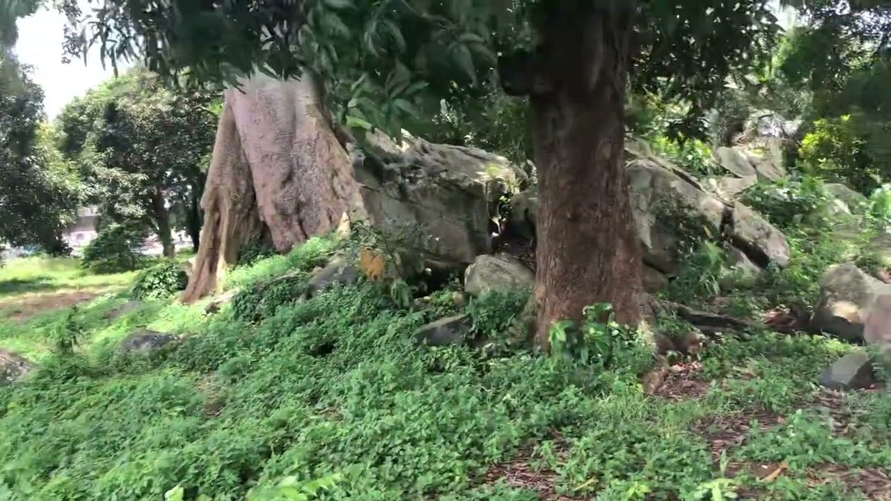 Liberia 🇱🇷Providence Island Historical Site | Monrovia, Liberia 🇱🇷