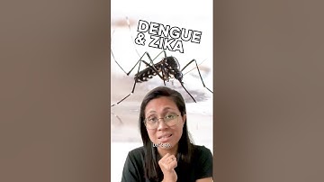 Dengue & Zika
