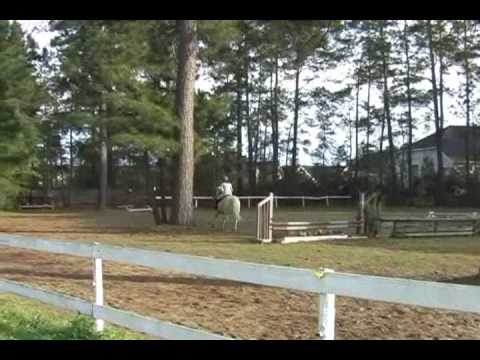 Fancy Palomino Pony Jumping