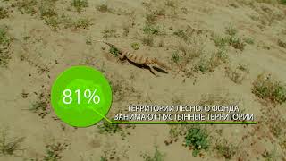 Устойчивое управление горными и долинными лесами Узбекистана