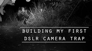 How to build a DSLR camera trap, by a guy that doesn