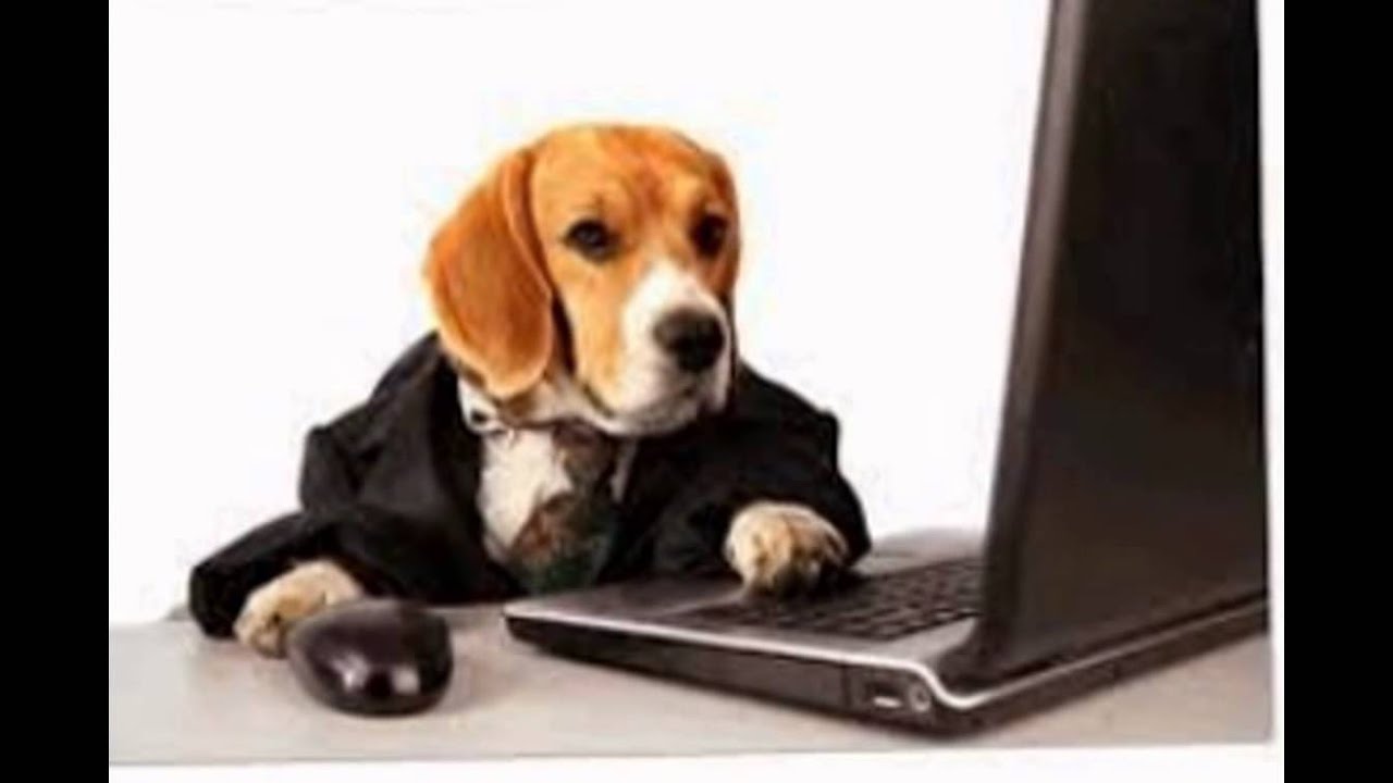 Business Directory Website