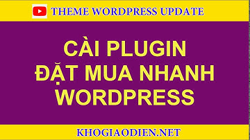 Cài đặt Plugin đặt mua nhanh woocommerce - theme bán hàng pro