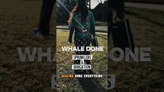 Collin County Sprinkler Repair Done Right the First Time !💧