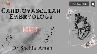 CVS embryology | part 7 | vascular system development | Dr Shehla Aman